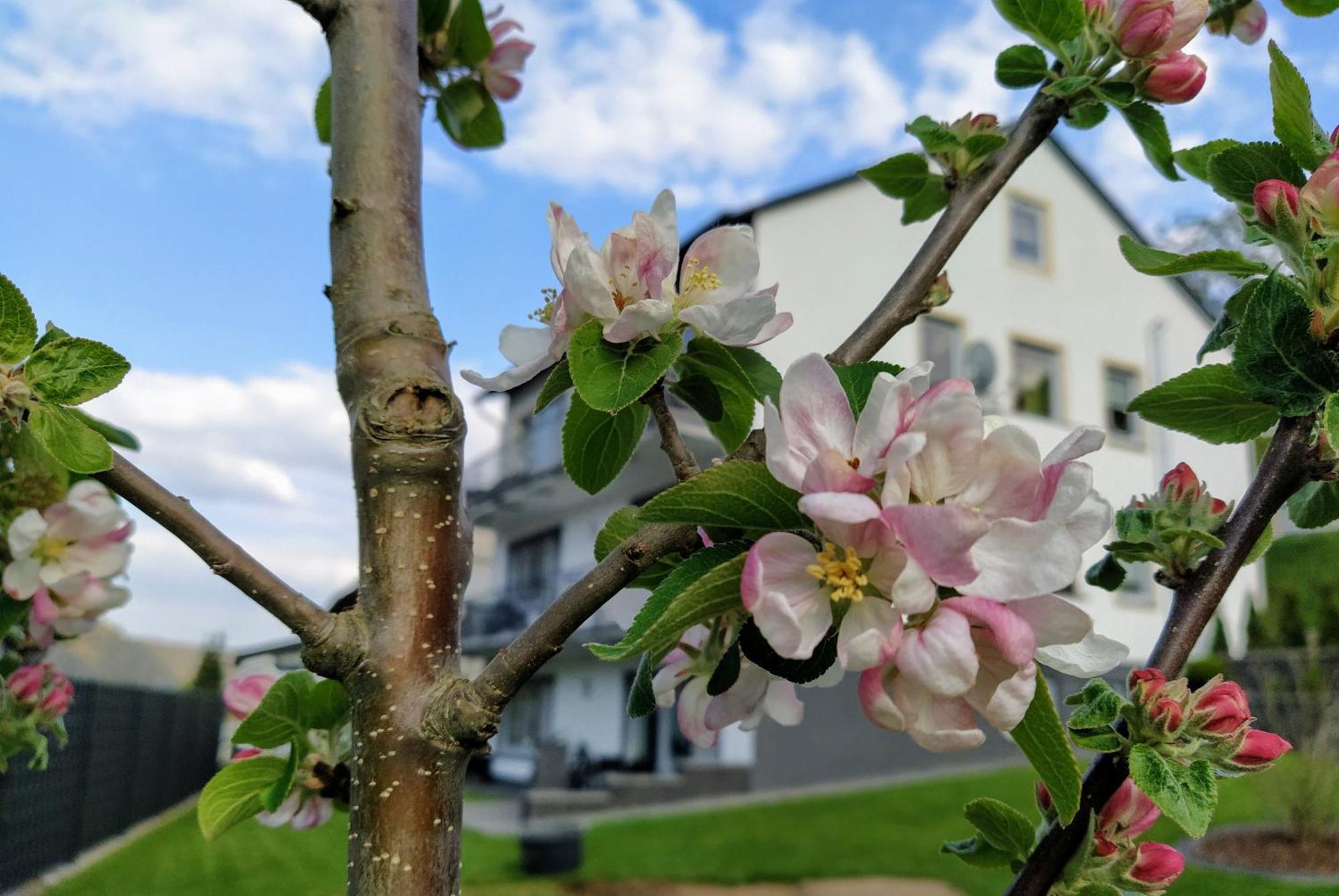 Kleine Auszeit Daire Cochem Dış mekan fotoğraf
